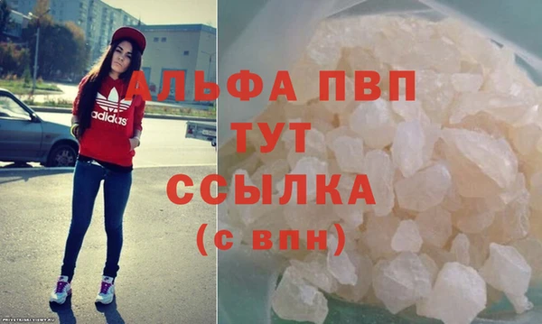 крисы Абаза