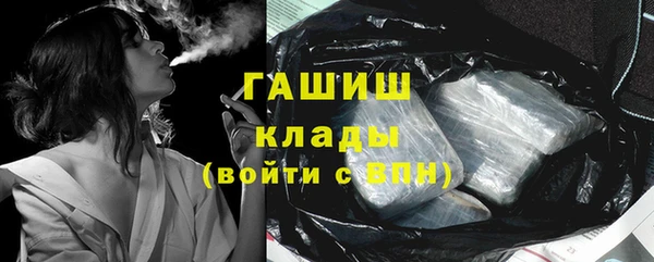 крисы Абаза