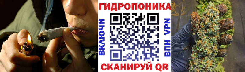 закладки  мега как войти  Шишки марихуана Amnesia  Струнино 